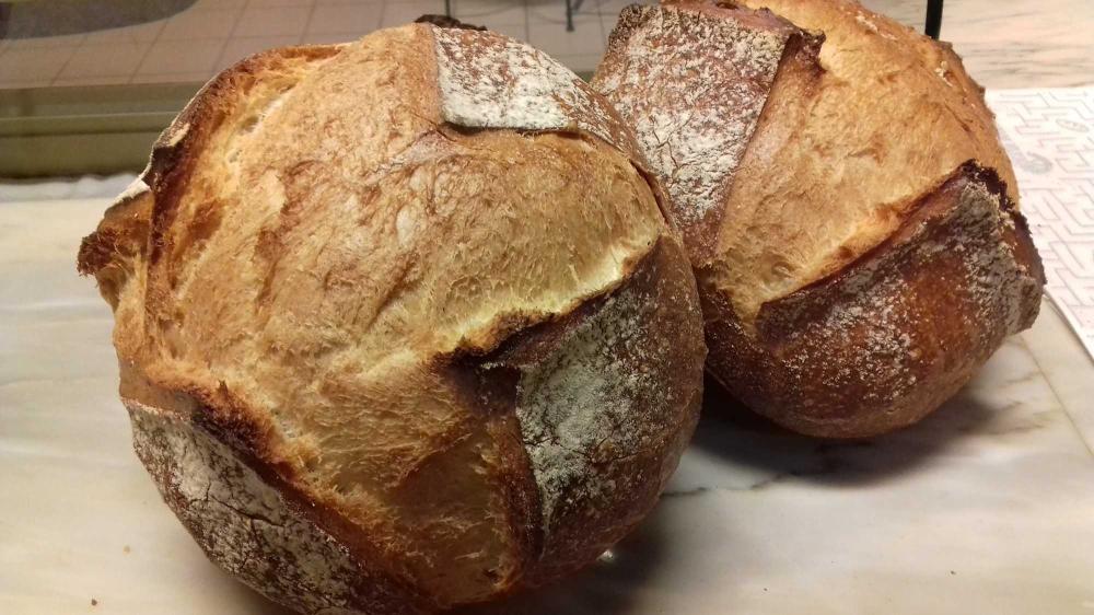 Pain bio près de Cluny